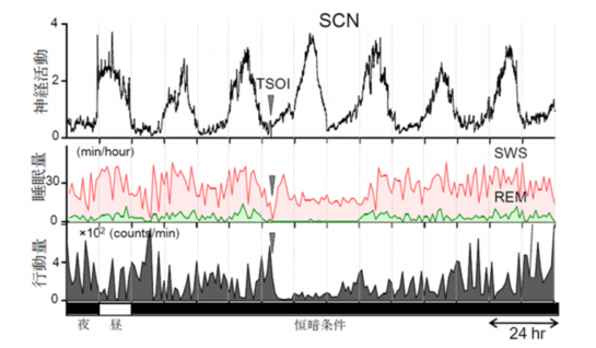 催眠療法と脳科学2