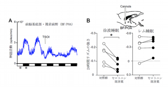 催眠療法と脳科学３