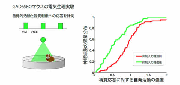 催眠療法と脳科学2